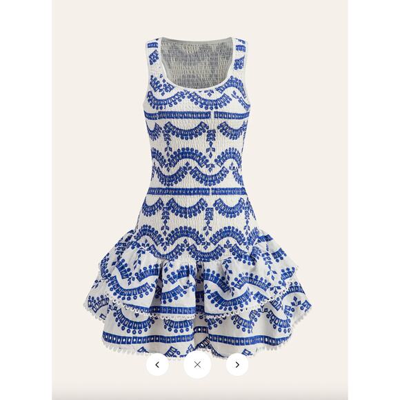 Commense Dresses & Skirts - Commense Embroidered Ruffled Sleeveless Dress Sz M